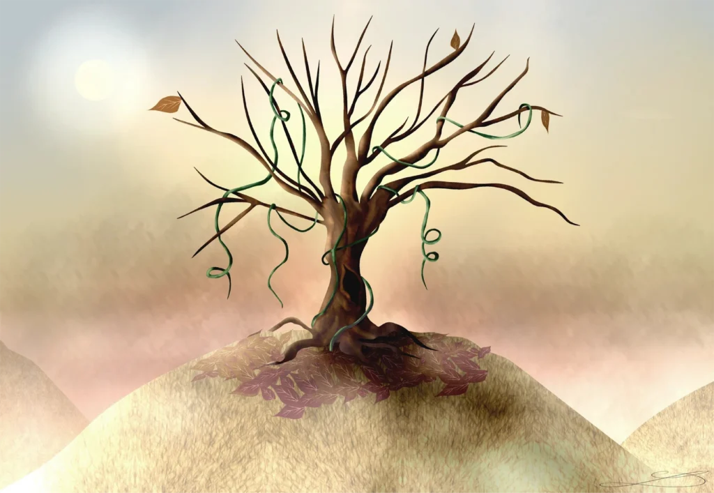 Arbre à boucle