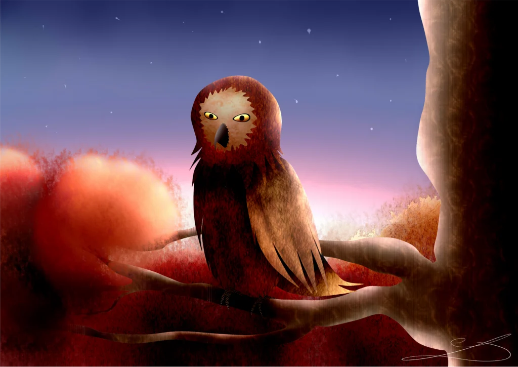 Hibou
