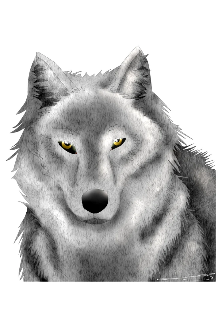 Loup